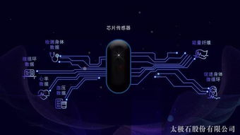 太極石纖維與智能科技融合，開啟品牌升級新篇章